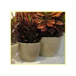 vaso-palash-verona-medio-40x30cm-branco-r0200-040-030-085417-085417