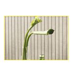 piso-porc-p-bello-60x120-wood-white-nat-201325e-115752-115752