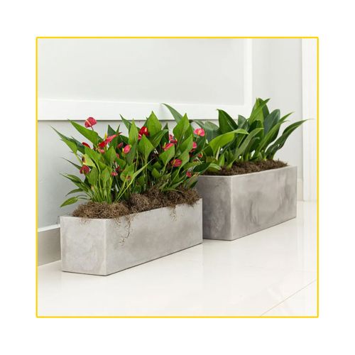 Cachepot Floreira Flat Cimento Queimado 57X15X15cm JFQFCQ57