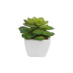 planta-permanente-decor-suculenta-12cm-ch06707179_096226