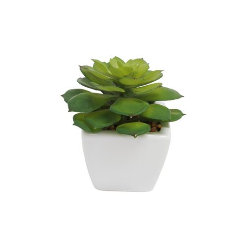 Planta Permanente Decor Suculenta 12cm CH06707179