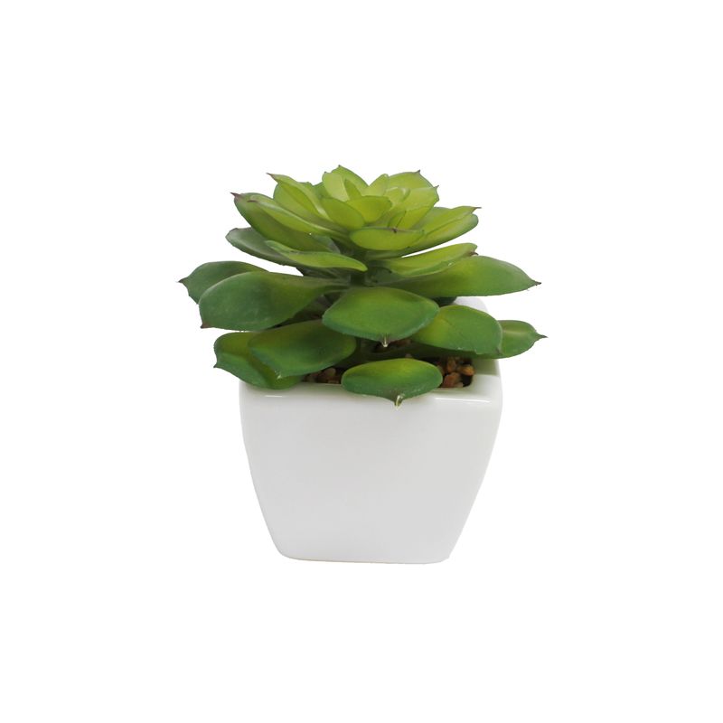 planta-permanente-decor-suculenta-12cm-ch06707179_096226