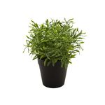 planta-permanente-decor-grama-20cm-ch06712667_100239