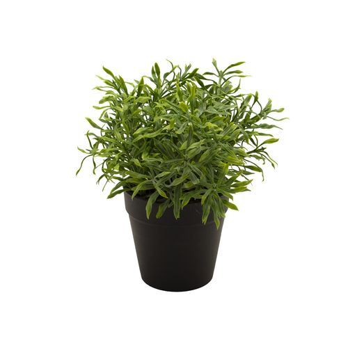 Planta Permanente Decor Grama 20cm CH06712667