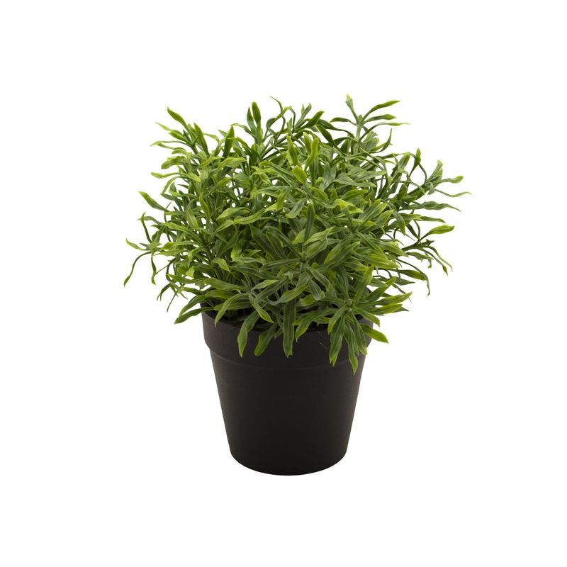 planta-permanente-decor-grama-20cm-ch06712667_100239