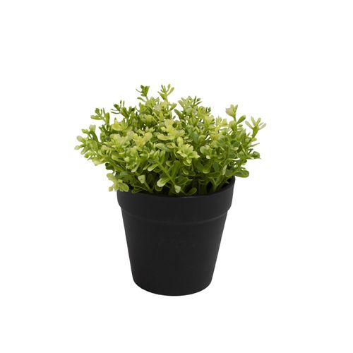 Planta Permanente Decor Grama 14cm CH06712450