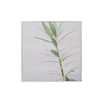 quadro-decor-dingjia-folhas-verdes-35x35-hd-53638_100313