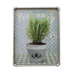 quadro-decor-xing-rosemary-garden-40x50-hd-50408-/-hd-53874_100329