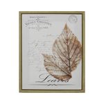 quadro-decor-xing-vignes-greffees-40x50-hd-50491-/-hd-53928_100338