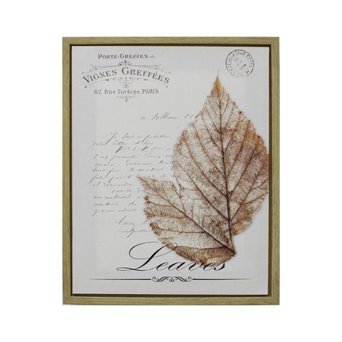 Quadro Decor Xing Vignes Greffees 40X50 HD-50491 / HD-53928
