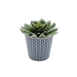 planta-permanente-decor-suculenta-13,97cm-hd-67802_106718
