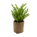 planta-permanete-decor-tomilho-24,77cm-hd-67956_106733