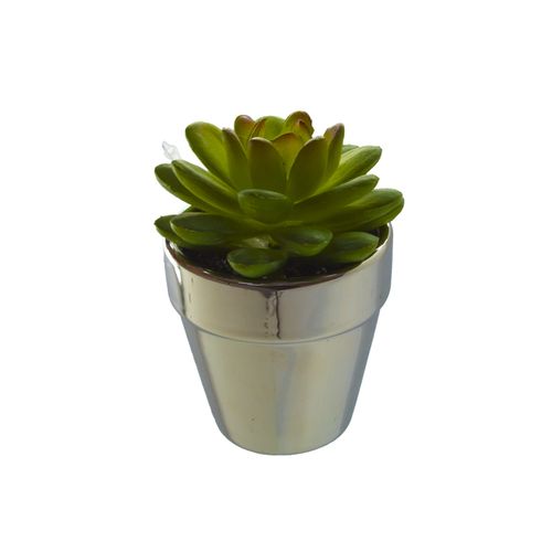 Planta Permanente Decor Suculenta 8,51cm HD-68045