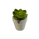 planta-permanente-decor-suculenta-8,26cm-hd-68052_106743