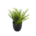 Planta Permanente Decor Verde 26,67cm HD-67970-1767640016882