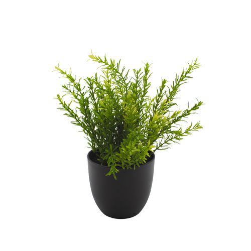 Planta Permanente Decor Verde 26,67cm HD-67970