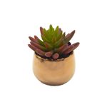 planta-permamente-decor-suculenta-9,14cm-hd-67840_106722