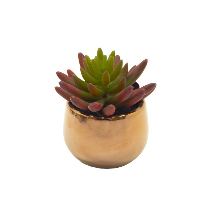 planta-permamente-decor-suculenta-9,14cm-hd-67840_106722