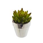 Planta Permanente Decor Suculenta 8,89Cm Hd-68007-1767641099190