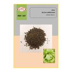 semente-alface-isla-amer-delicia-1,5gr-1324-47-31-114349-114349