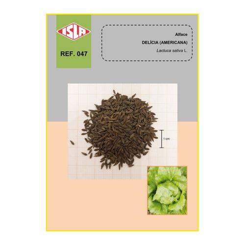 Semente Alface Isla Amer Delicia 1,5Gr 1324 47.31