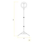 ring-ligth-avant-pedestal-293030005-121756-121756