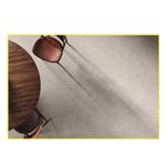 piso-porc-p-bello-80x80-cloudy-grey-nat-211655e-120941-120941