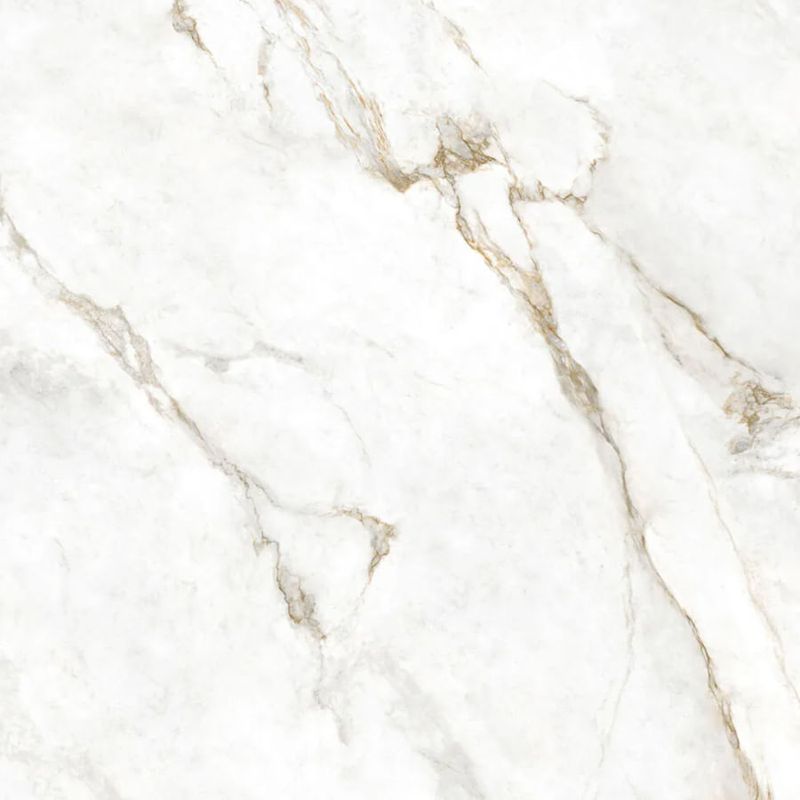 Piso Porcelanato Biancogres 120X120 Marmo Perla Lux Polido BV0846E1-1743083140436