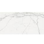 piso-porc-elizabeth-60x120-statuario-classico-pol-119488-119488
