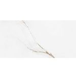 piso-porc-elizabeth-60x120-branco-parana-esm-pol-121283-121283