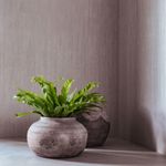 az-eliane-45x120-aura-alvor-gris-ma-ret-8068887-121931-121931